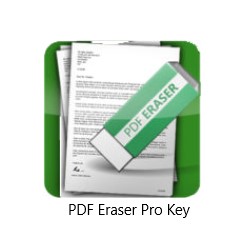 ASCOMP Secure Eraser Professional 6.002 for apple download