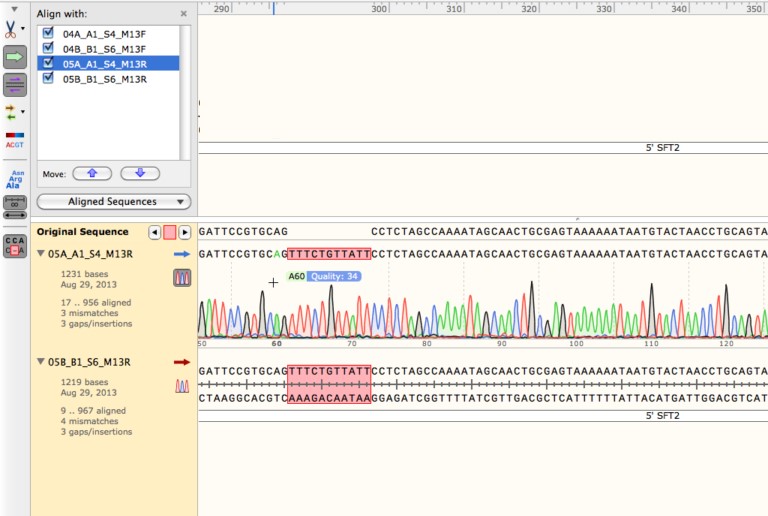 GSL Biotech SnapGene Latest version