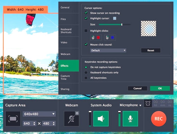 movavi screen recorder full