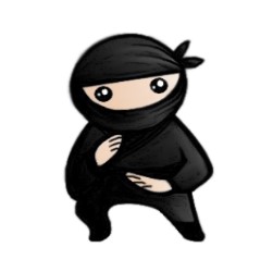 System Ninja Latest version